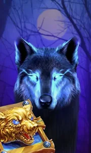 Book Of The Night Wolf