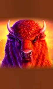 Buffalo 50