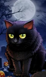 Spooky Halloween